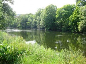 Lake in central Copenhagen